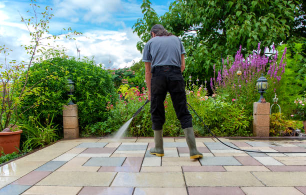 Best Animal Enclosure Cleaning  in Decherd, TN